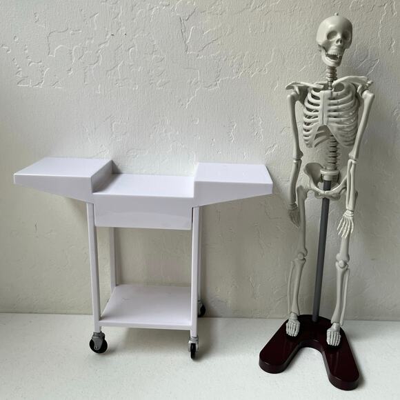 Our Generation School Room Science Lab for 18" Dolls Chemistry Stem Skeleton - Picture 2 of 13